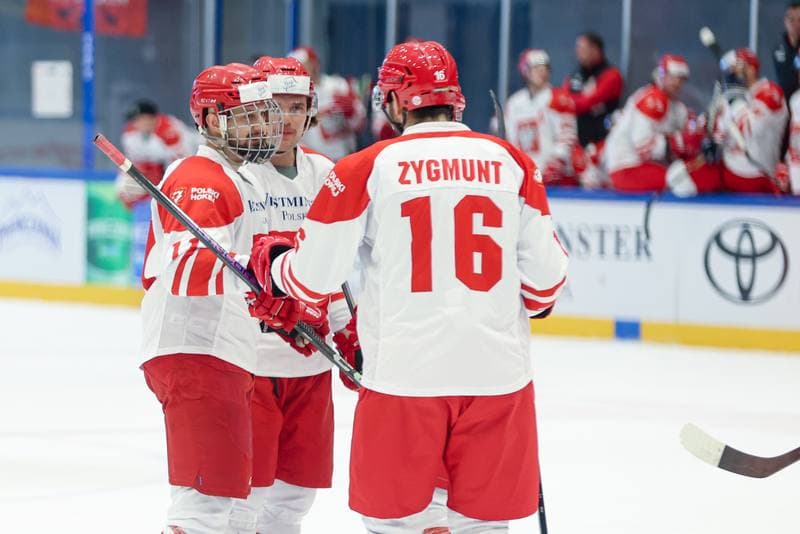 Ice Hockey. Friendly Match. Poland - Hungary. 13.04.2024