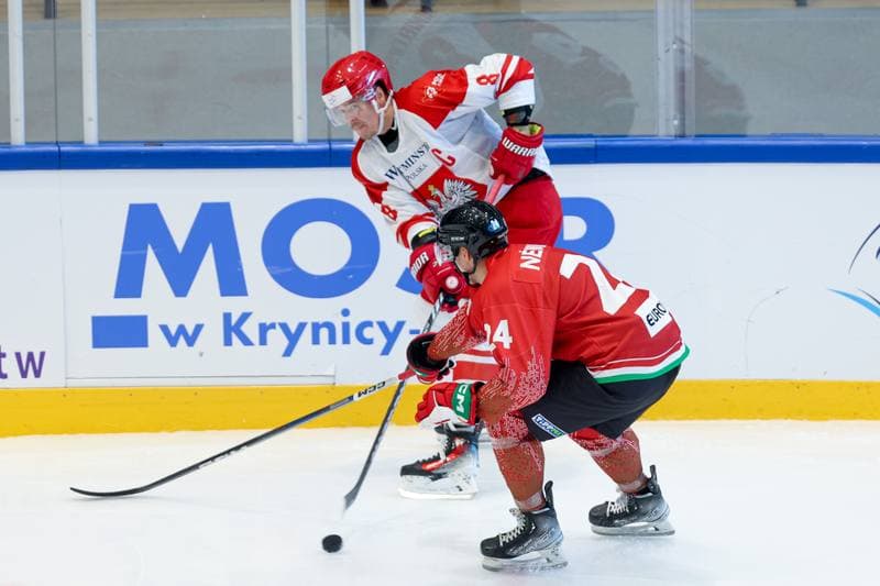 Ice Hockey. Friendly Match. Poland - Hungary. 13.04.2024