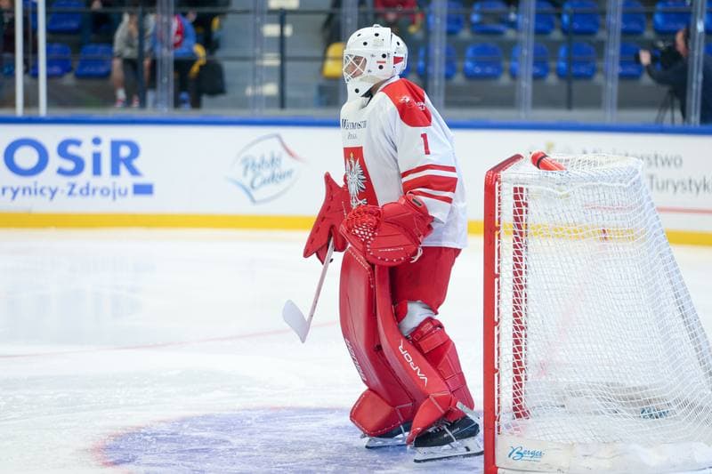 Ice Hockey. Friendly Match. Poland - Hungary. 13.04.2024