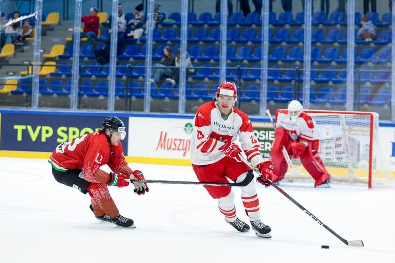 Ice Hockey. Friendly Match. Poland - Hungary. 13.04.2024