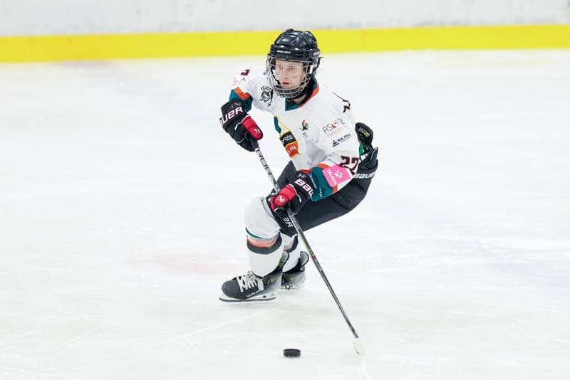 Ice Hockey. Tauron Liga. Kojotki Naprzod Janow - Stoczniowiec Gdansk. 24.02.2024