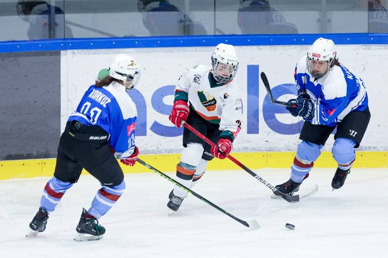 Ice Hockey. Tauron Liga. Kojotki Naprzod Janow - Stoczniowiec Gdansk. 24.02.2024