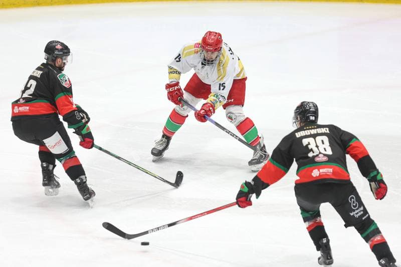 Ice Hockey. Tauron Hokej Liga. Zaglebie Sosnowiec - GKS Tychy. 27.02.2024