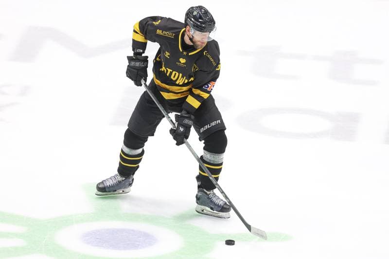Ice Hockey. Tauron Hokej Liga. Zaglebie Sosnowiec - GKS Katowice. 12.03.2024