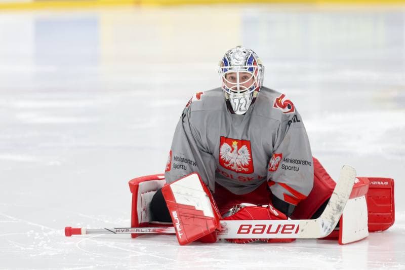 Ice Hockey. Poland national team. Training. 16.04.2024