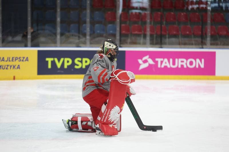 Ice Hockey. Poland national team. Training. 17.04.2024