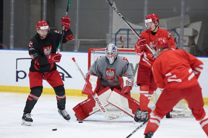 Ice Hockey. Poland national team. Training. 17.04.2024