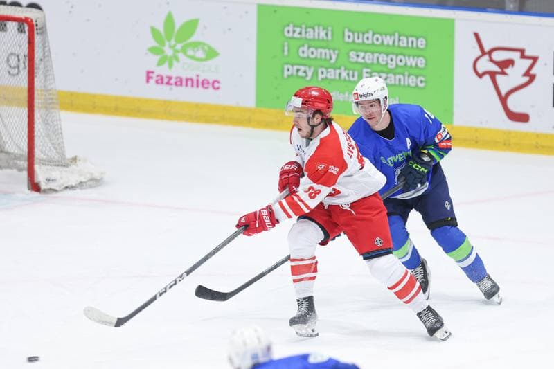 Ice Hockey. Friendly Match. Poland - Slovenia. 18.04.2024