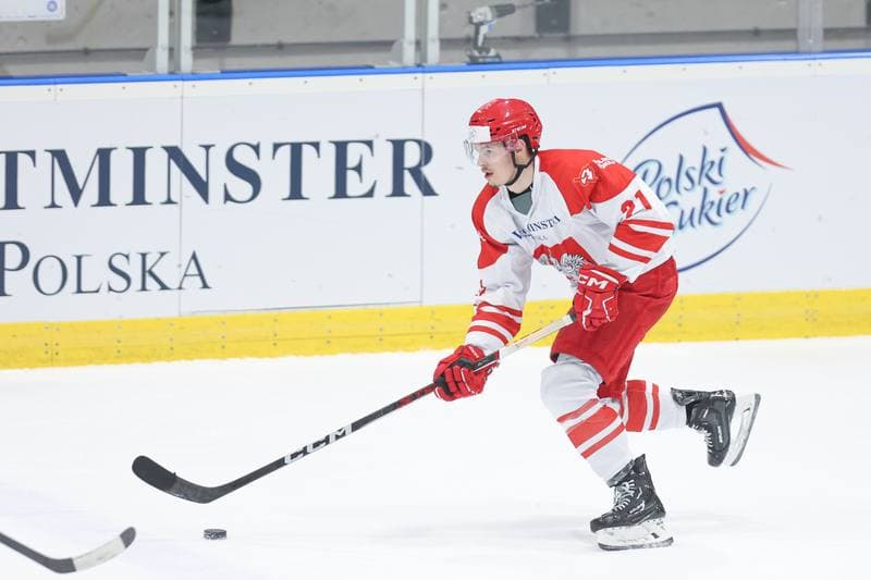 Ice Hockey. Friendly Match. Poland - Slovenia. 18.04.2024