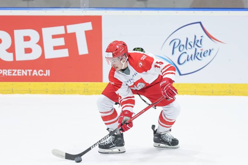 Ice Hockey. Friendly Match. Poland - Slovenia. 18.04.2024