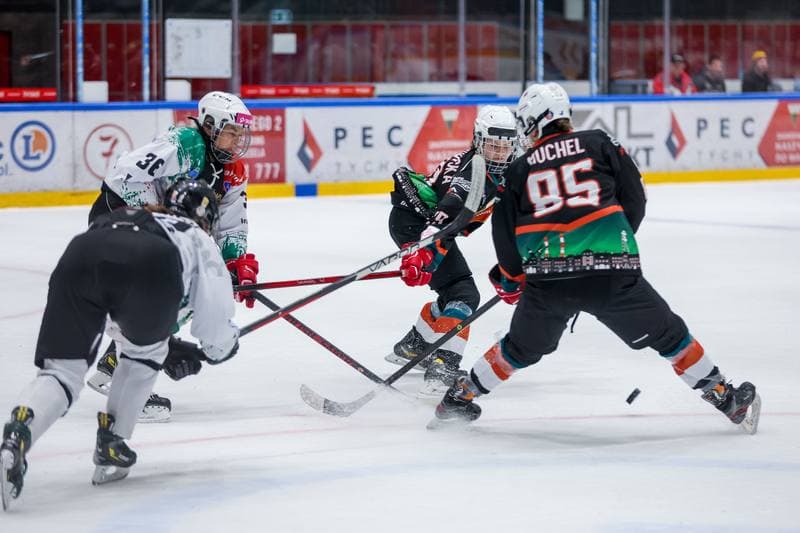Ice Hockey. Tauron Liga. Atomowki GKS Tychy - Kojotki Naprzod Janow. 29.10.2023