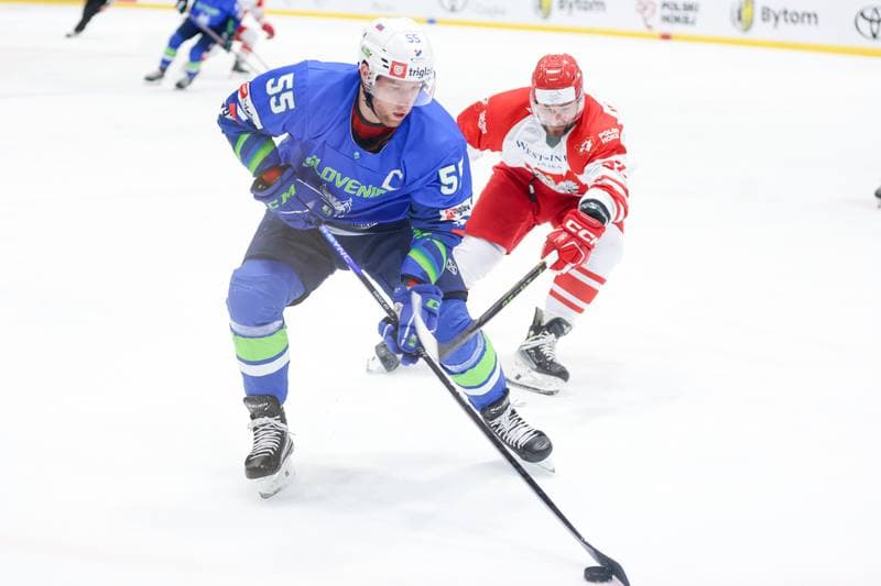 Ice Hockey. Friendly Match. Poland - Slovenia. 19.04.2024