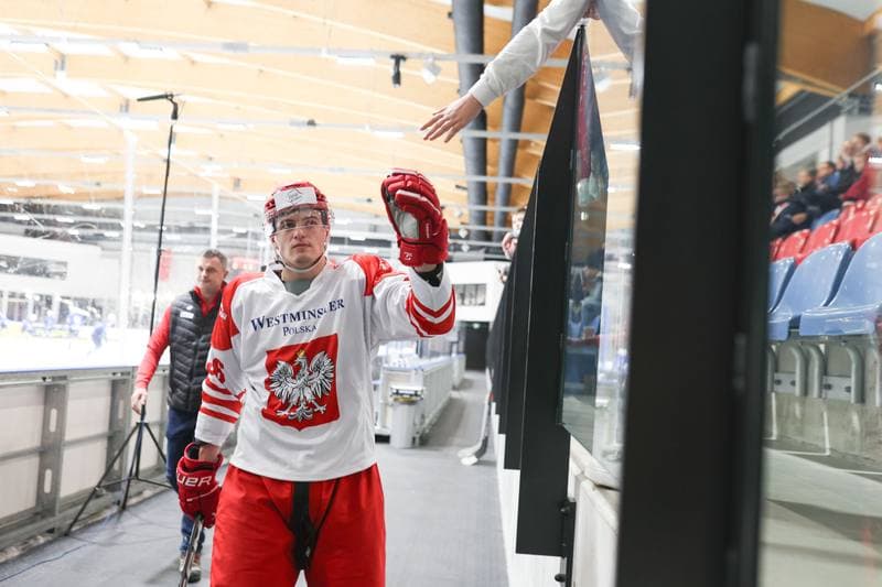 Ice Hockey. Friendly Match. Poland - Slovenia. 19.04.2024