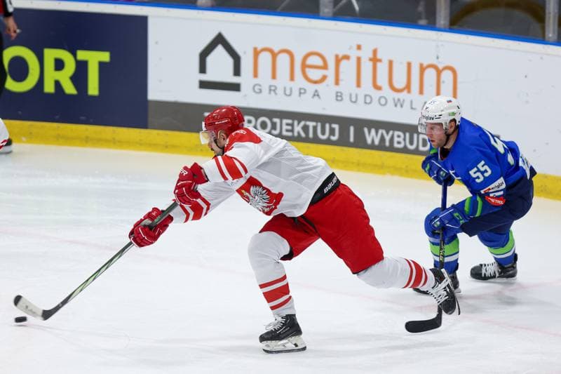 Ice Hockey. Friendly Match. Poland - Slovenia. 19.04.2024