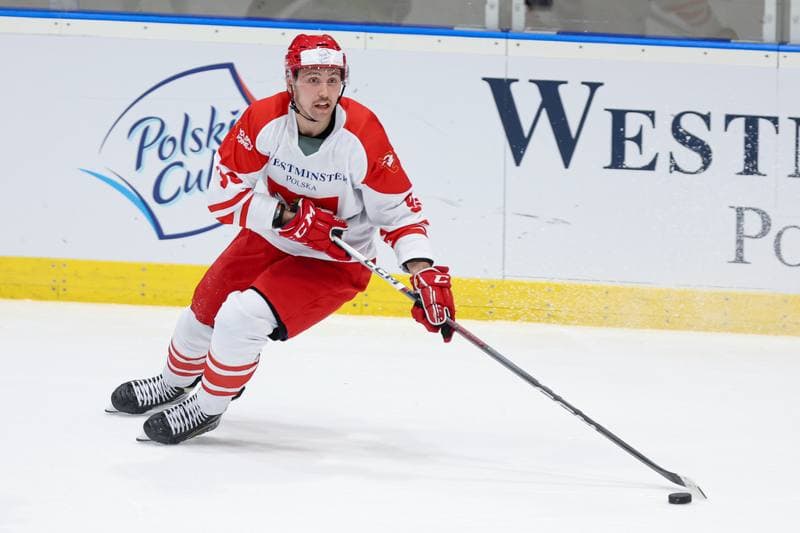 Ice Hockey. Friendly Match. Poland - Slovenia. 19.04.2024