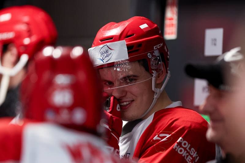 Ice Hockey. Friendly Match. Poland - Slovenia. 19.04.2024