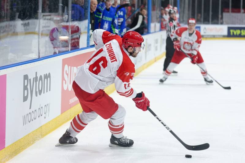 Ice Hockey. Friendly Match. Poland - Slovenia. 19.04.2024
