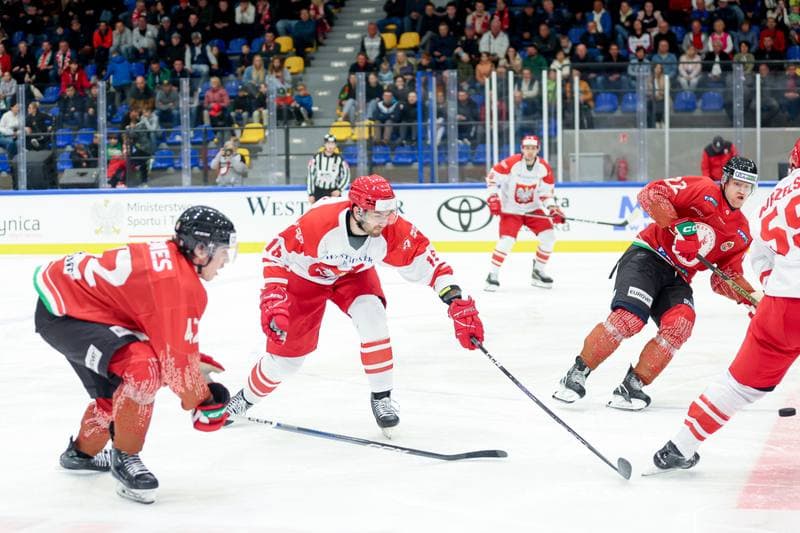 Ice Hockey. Friendly Match. Poland - Hungary. 12.04.2024