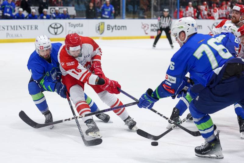 Ice Hockey. Friendly Match. Poland - Slovenia. 19.04.2024