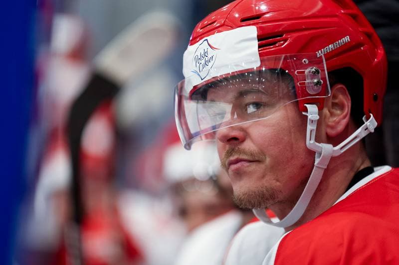 Ice Hockey. Friendly Match. Poland - Hungary. 12.04.2024