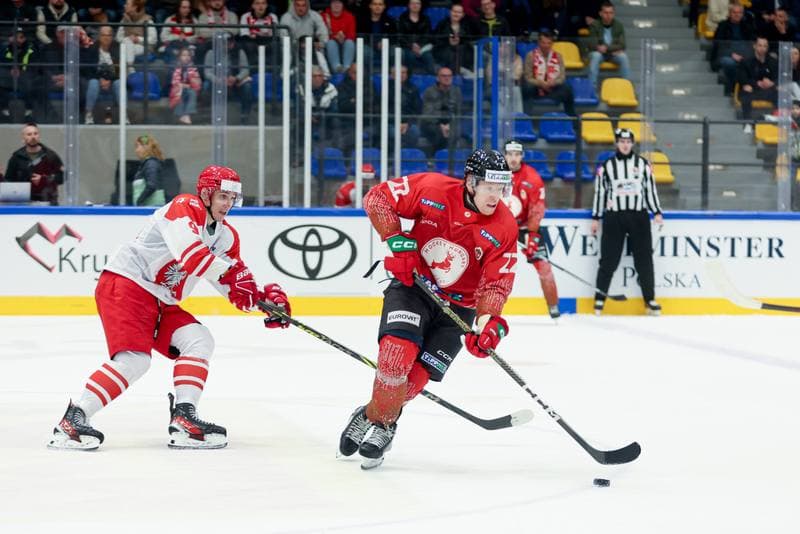 Ice Hockey. Friendly Match. Poland - Hungary. 12.04.2024