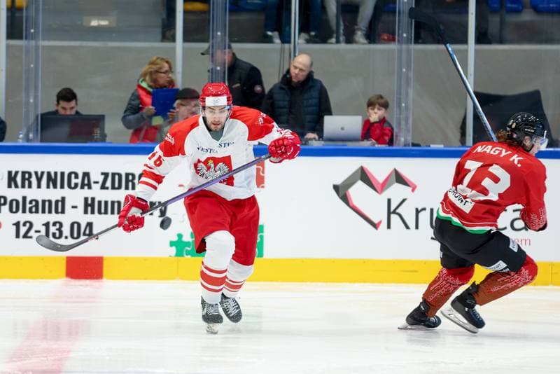 Ice Hockey. Friendly Match. Poland - Hungary. 13.04.2024