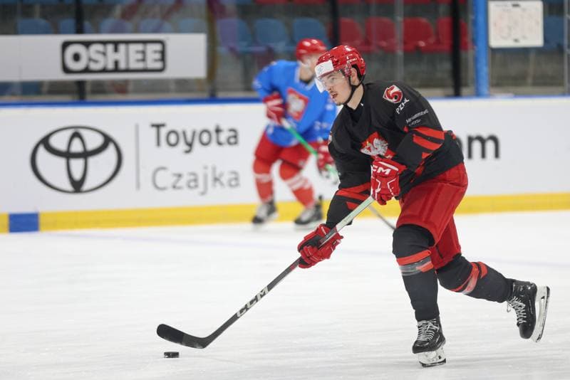 Ice Hockey. Poland national team. Training. 22.04.2024