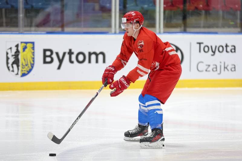 Ice Hockey. Poland national team. Training. 22.04.2024