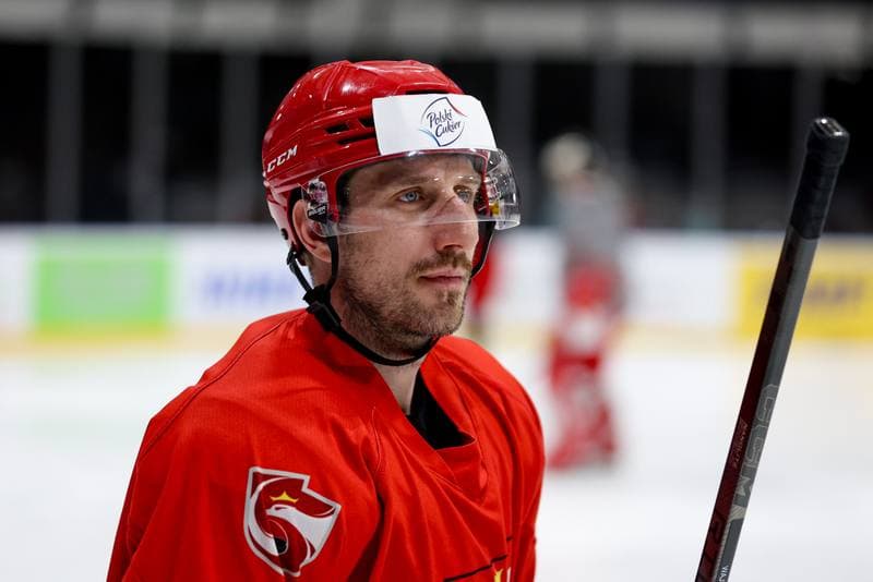 Ice Hockey. Poland national team. Training. 16.04.2024