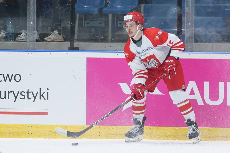 Ice Hockey. Friendly Match. Poland - Slovenia. 18.04.2024