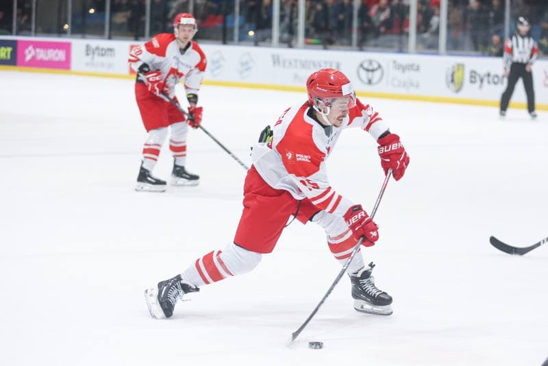 Ice Hockey. Friendly Match. Poland - Slovenia. 18.04.2024