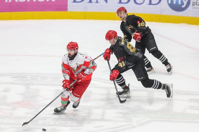 Ice Hockey. Tauron Hokej Liga. Zaglebie Sosnowiec - Comarch Cracovia. 19.11.2023