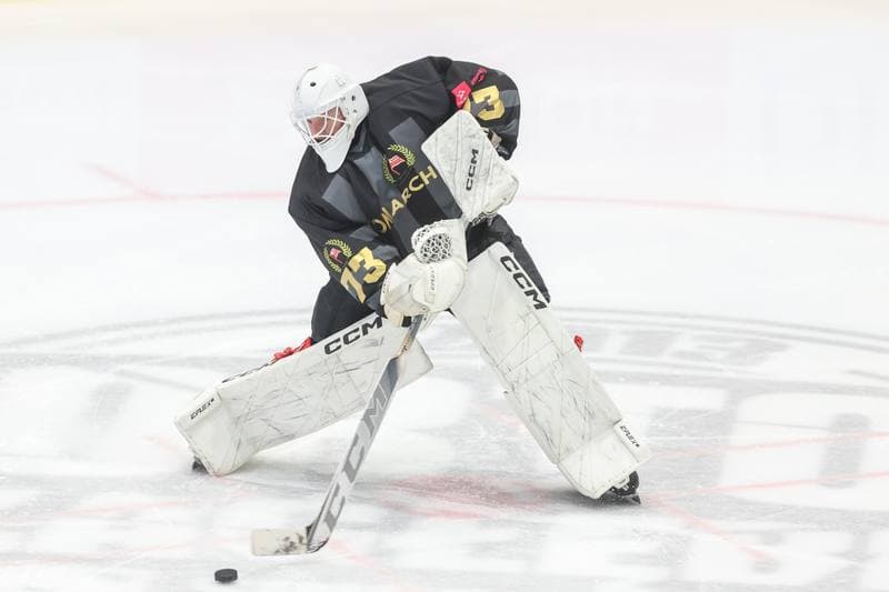 Ice Hockey. Tauron Hokej Liga. Zaglebie Sosnowiec - Comarch Cracovia. 19.11.2023