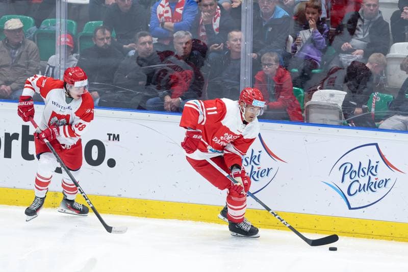 Ice Hockey. Friendly Match. Poland - Denmark. 07.05.2024