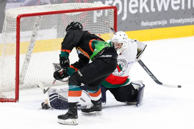 Ice Hockey. MHL. Zaglebie Sosnowiec - Naprzod Janow Katowice. 06.01.2024