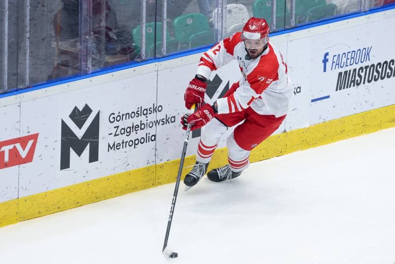 Ice Hockey. Friendly Match. Poland - Denmark. 07.05.2024