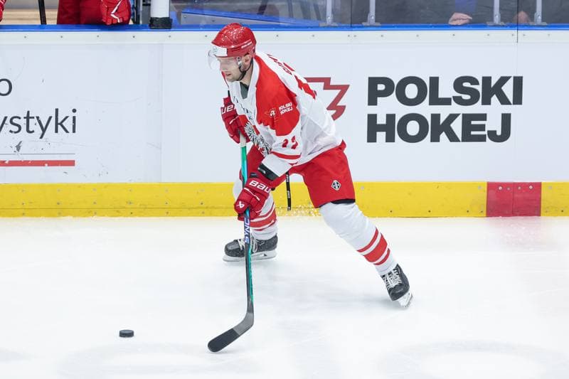 Ice Hockey. Friendly Match. Poland - Denmark. 07.05.2024