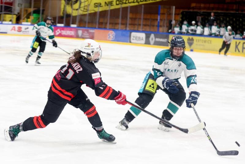 Ice Hockey. EWHL. Tauron Metropolia Silesia - KEHV Lakers. 03.02.2024