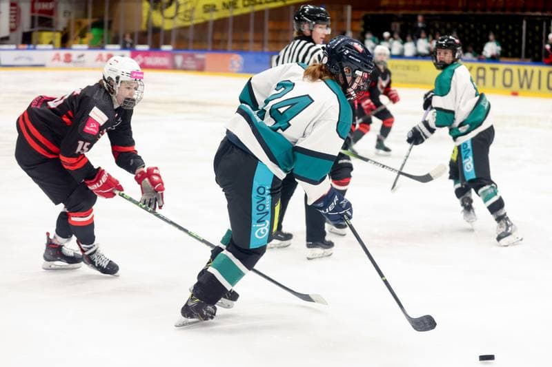 Ice Hockey. EWHL. Tauron Metropolia Silesia - KEHV Lakers. 03.02.2024
