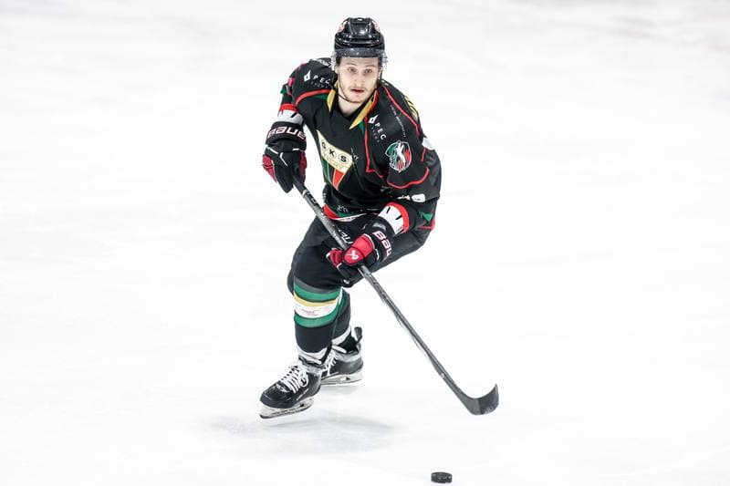 Ice Hockey. Tauron Hokej Liga. JKH GKS Jastrzebie - GKS Tychy. 20.10.2024