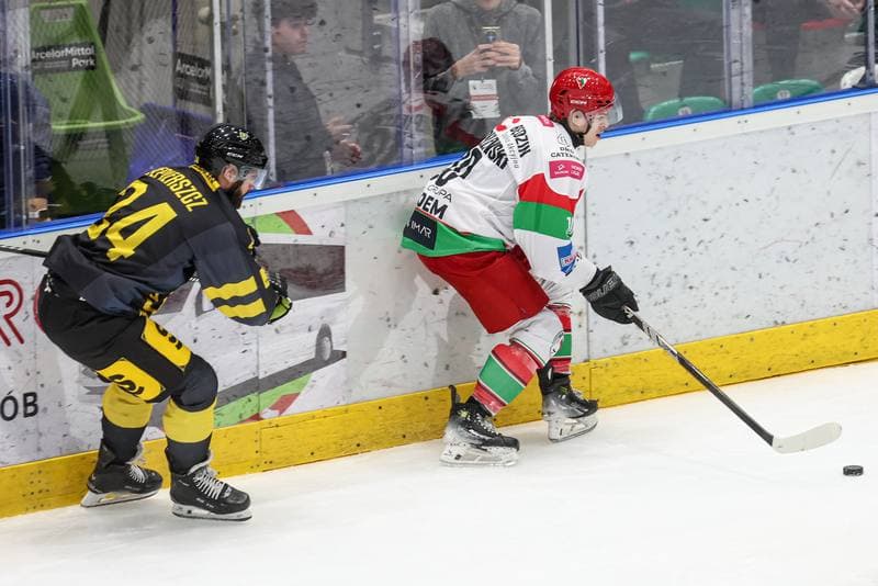 Ice Hockey. Tauron Hokej Liga. EC Bedzin Zaglebie Sosnowiec - GKS Katowice. 01.12.2024