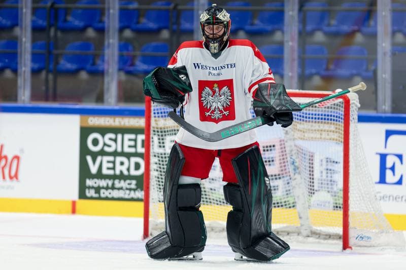Ice Hockey. Friendly Match. Poland - Hungary. 12.04.2024