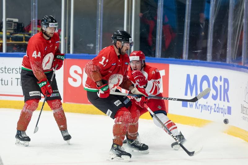 Ice Hockey. Friendly Match. Poland - Hungary. 13.04.2024