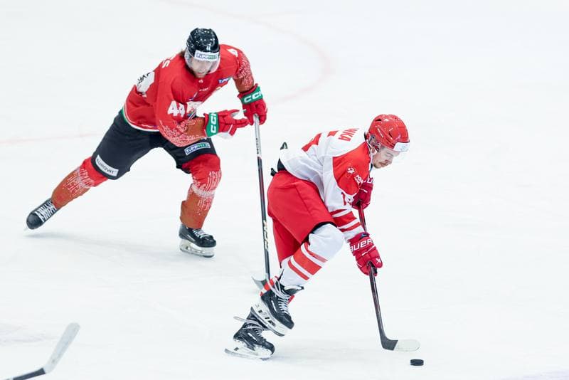 Ice Hockey. Friendly Match. Poland - Hungary. 13.04.2024