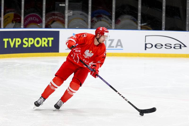 Ice Hockey. Poland national team. Training. 16.04.2024