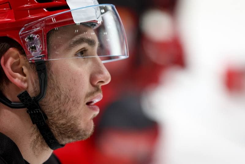 Ice Hockey. Poland national team. Training. 16.04.2024