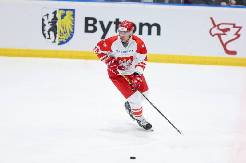 Ice Hockey. Friendly Match. Poland - Slovenia. 19.04.2024