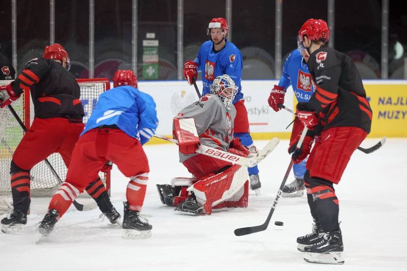 Ice Hockey. Poland national team. Training. 22.04.2024