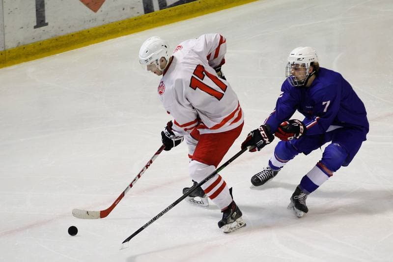 Ice Hockey. Friendly Match. Poland U20 - France U20. 06.08.2016