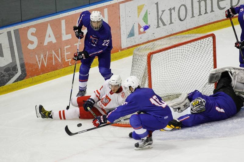 Ice Hockey. Friendly Match. Poland U20 - France U20. 06.08.2016
